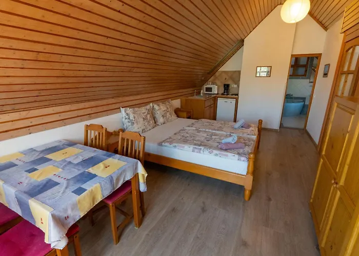 Vendégház Castle House